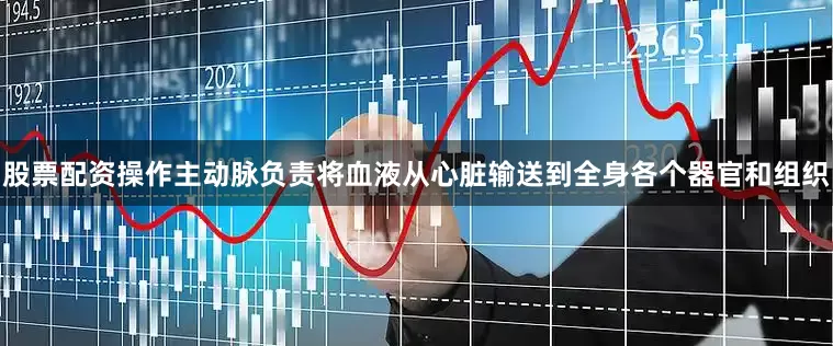 股票配资操作主动脉负责将血液从心脏输送到全身各个器官和组织