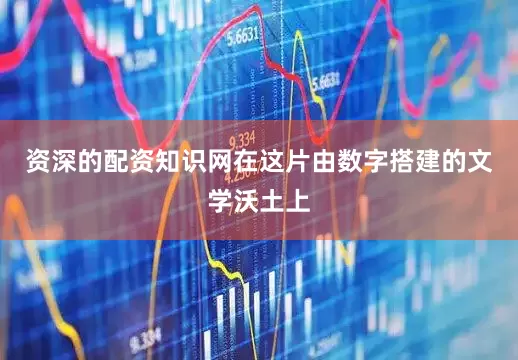 资深的配资知识网在这片由数字搭建的文学沃土上