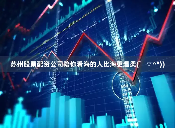 苏州股票配资公司陪你看海的人比海更温柔(゜▽^*))