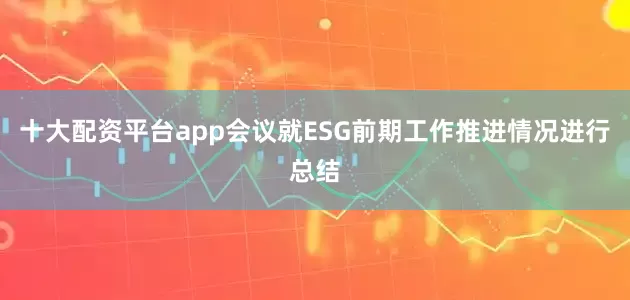 十大配资平台app会议就ESG前期工作推进情况进行总结