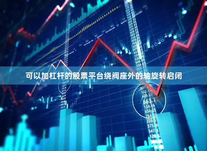 可以加杠杆的股票平台绕阀座外的轴旋转启闭