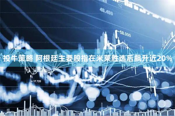 投牛策略 阿根廷主要股指在米莱胜选后飙升近20%
