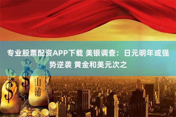 专业股票配资APP下载 美银调查：日元明年或强势逆袭 黄金和美元次之