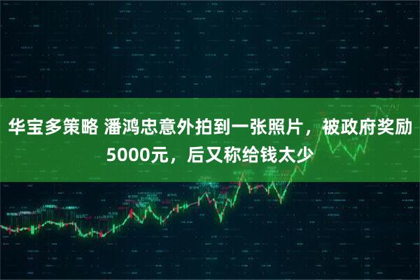 华宝多策略 潘鸿忠意外拍到一张照片，被政府奖励5000元，后又称给钱太少